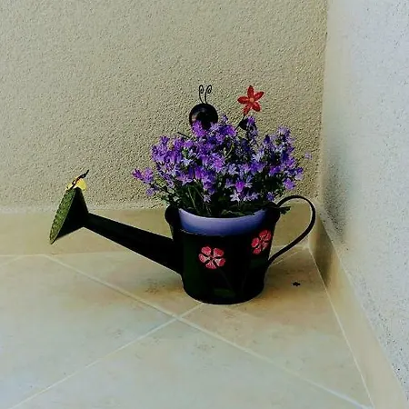 Dineva Appartamento *
