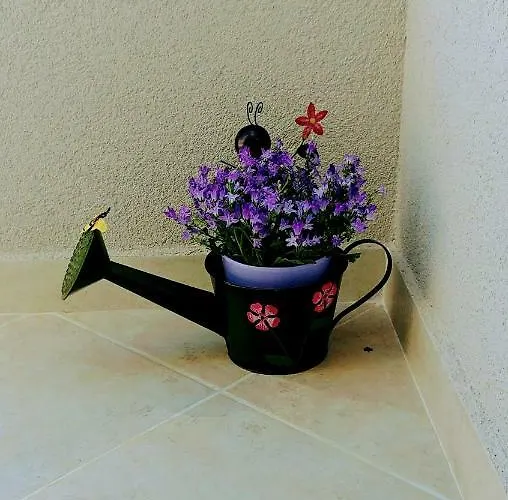 Dineva Apartamento *